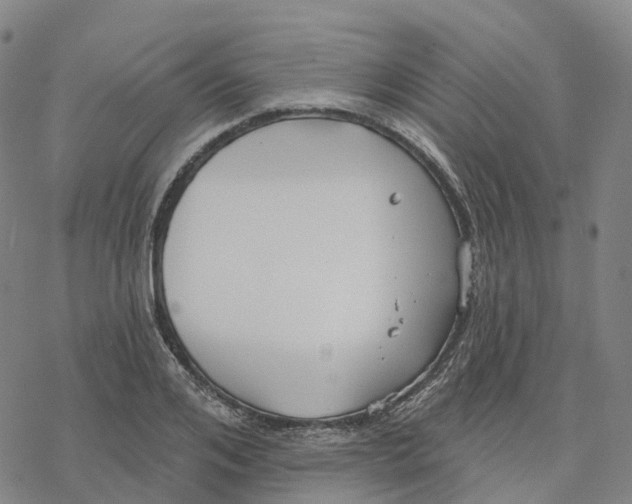 X0000076420984200610271704