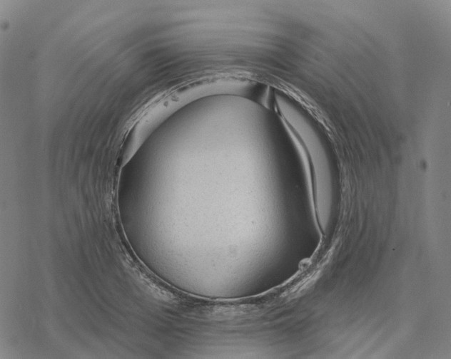 X0000076420985200610271704