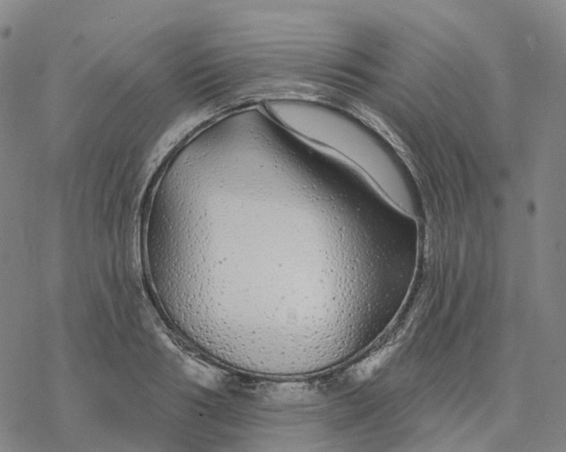 X0000076420986200610271703