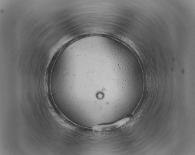 X0000076420987200610271703