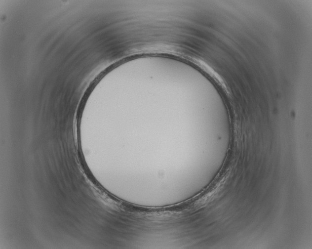 X0000076420988200610271703