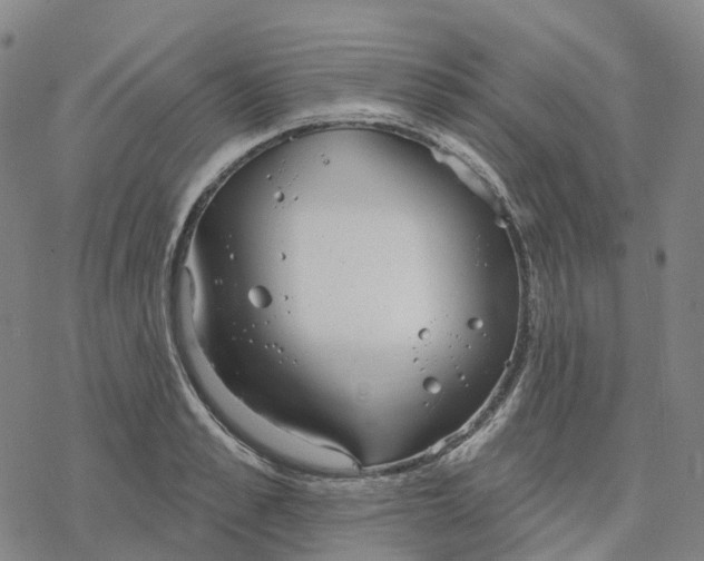 X0000076420989200610271703