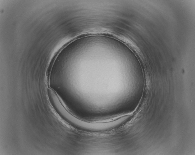 X0000076420990200610271703