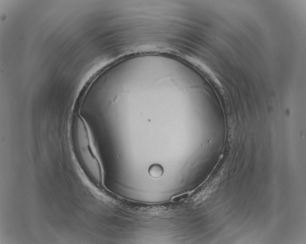 X0000076420991200610271703