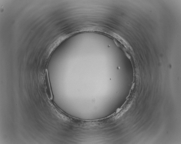 X0000076420993200610271703