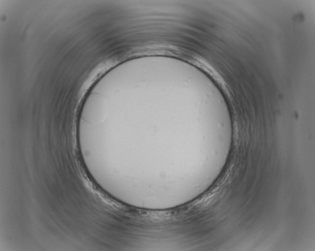 X0000076420994200610271703