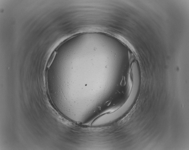 X0000076420996200610271703