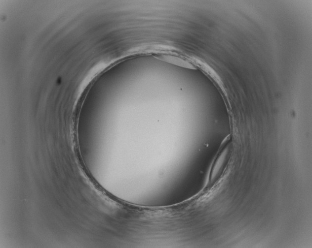 X0000076420997200610271703