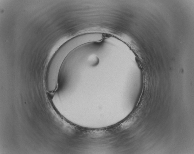 X0000076420998200610271703