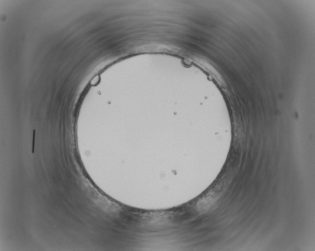 X0000076421000200610271703