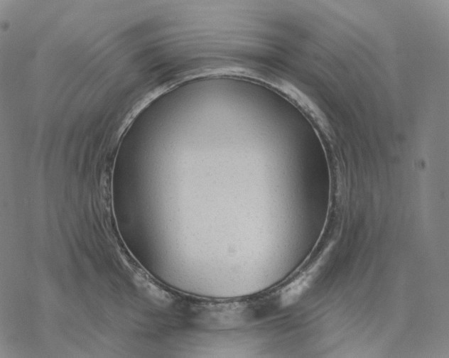 X0000076421001200610271703