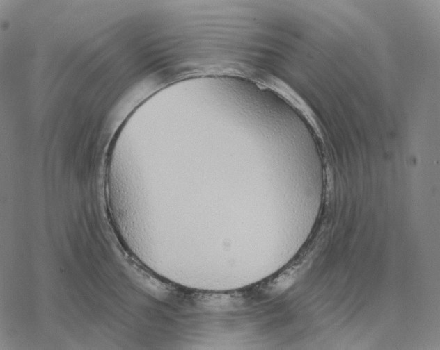 X0000076421002200610271703