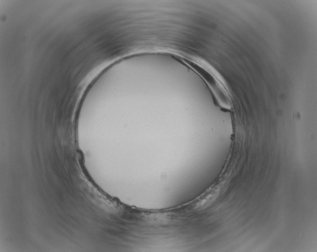 X0000076421004200610271703