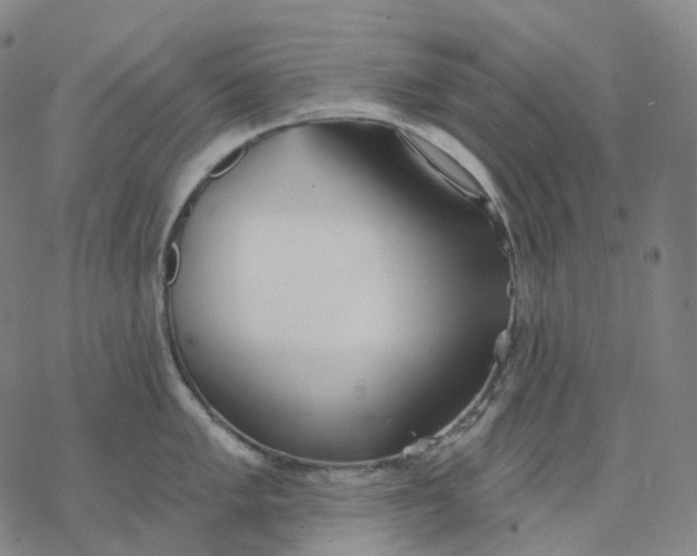 X0000076421005200610271703