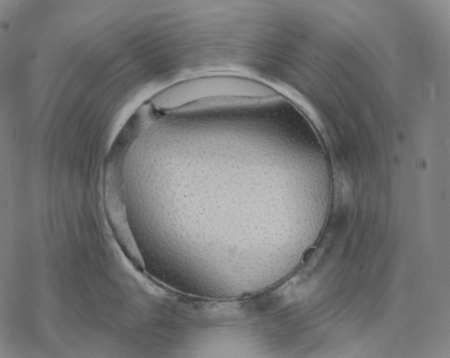 X0000076421006200610271703