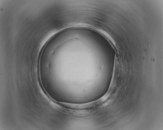 X0000076421007200610271703