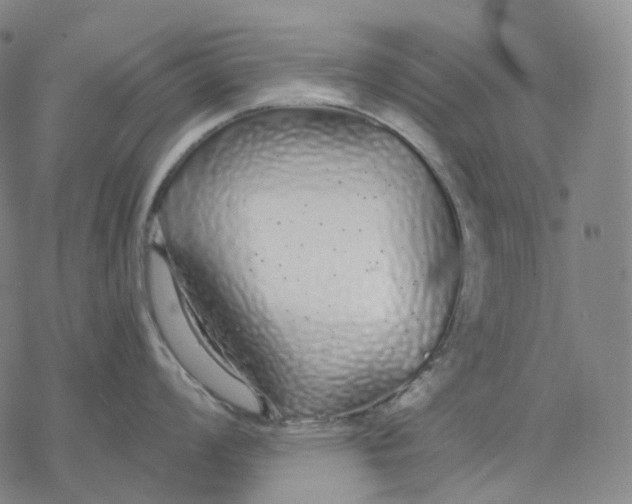 X0000076421008200610271703