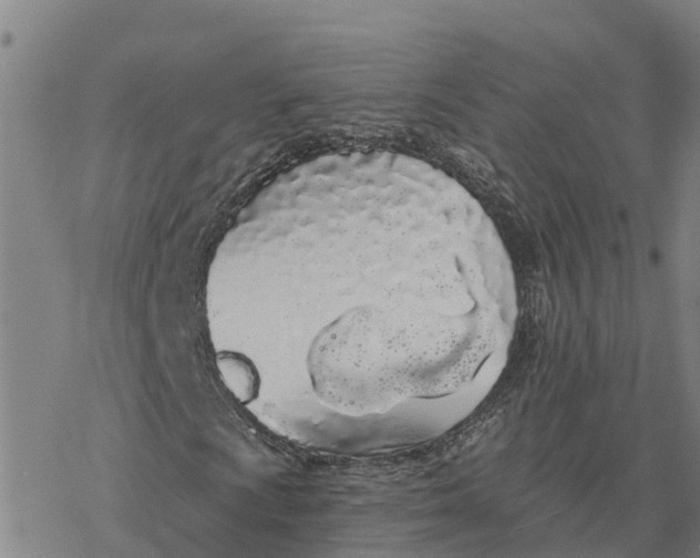 X0000076421009200610271702