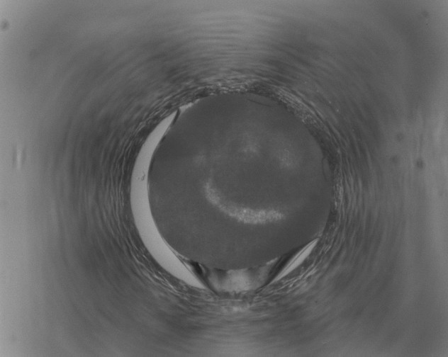 X0000076421010200610271702