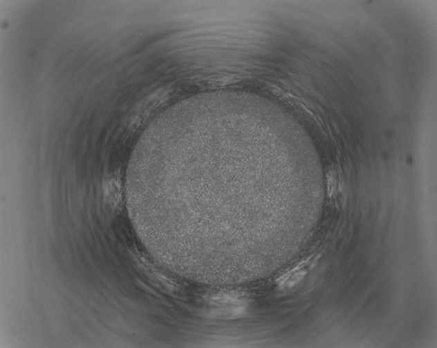 X0000076421011200610271702