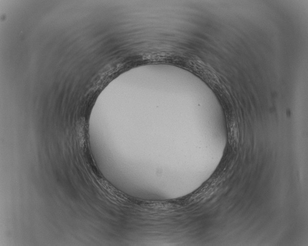 X0000076421012200610271702