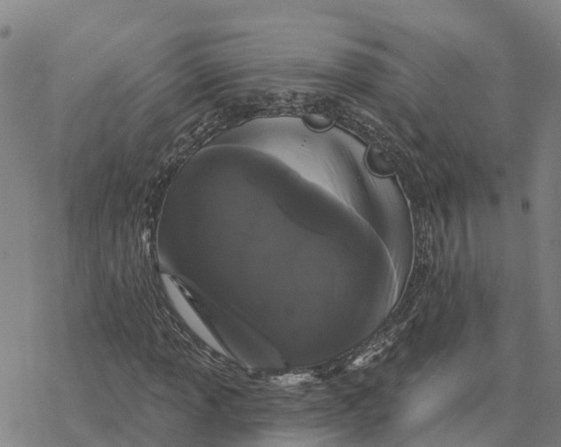 X0000076421013200610271702