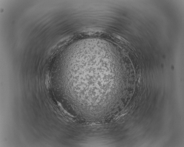 X0000076421014200610271702