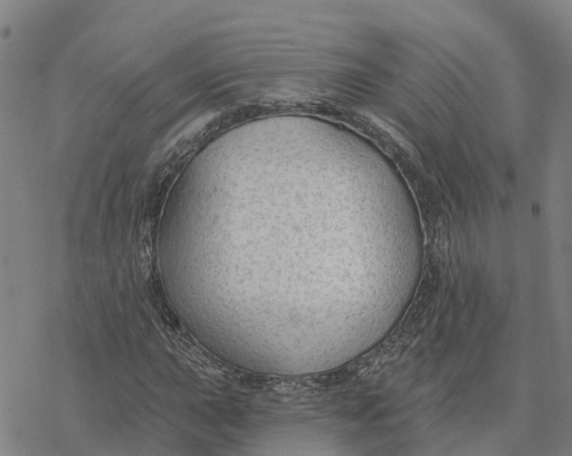 X0000076421015200610271702