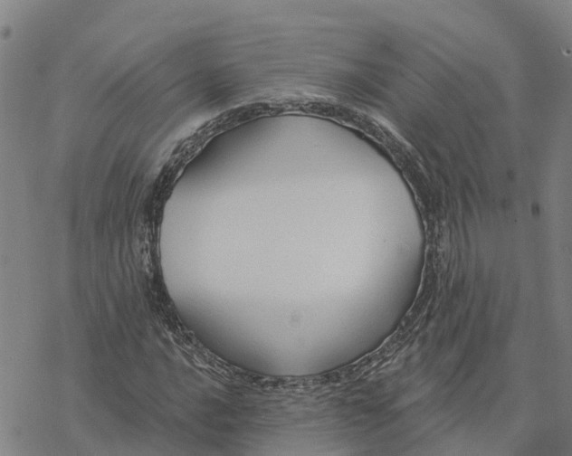 X0000076421016200610271702