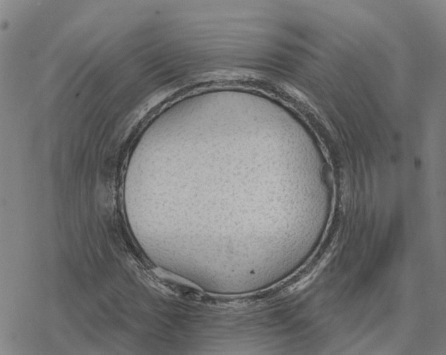 X0000076421017200610271702