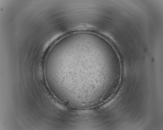 X0000076421018200610271703