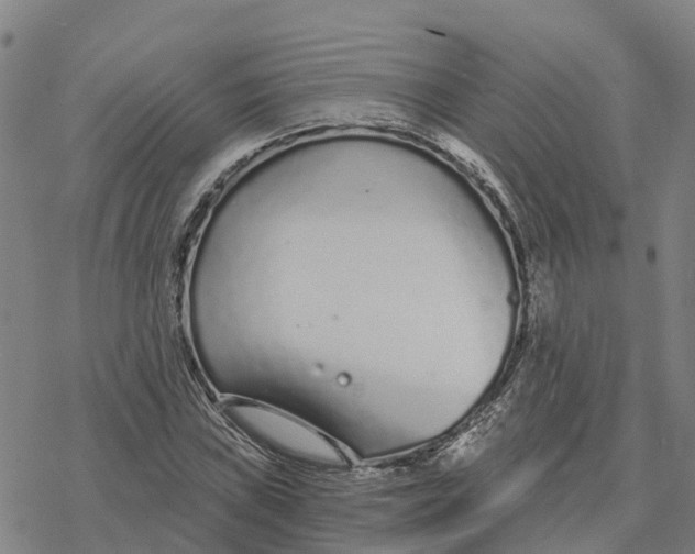 X0000076421019200610271703