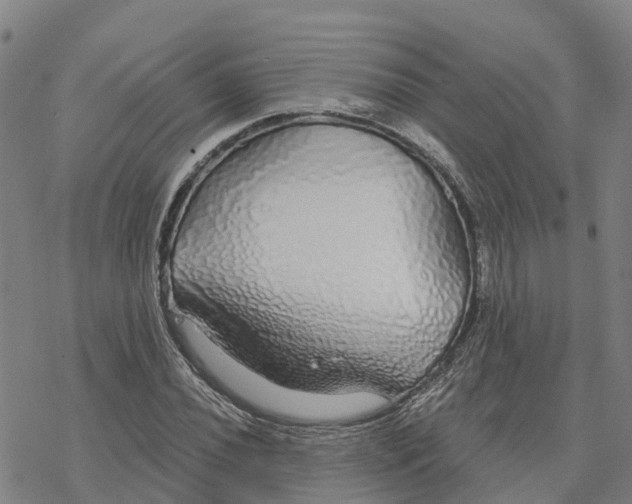 X0000076421020200610271703