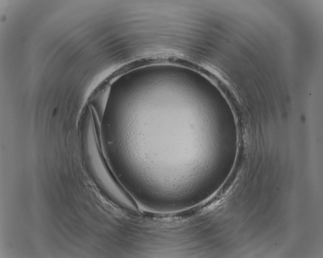 X0000076421022200610271703