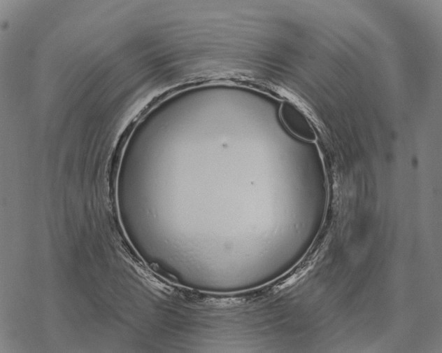 X0000076421023200610271703