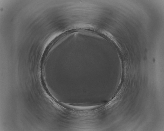 X0000076421024200610271703