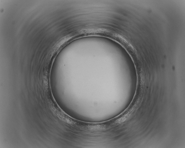 X0000076421025200610271703