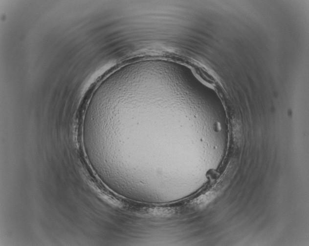 X0000076421026200610271703