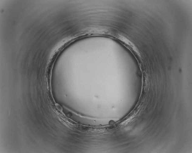 X0000076421027200610271703