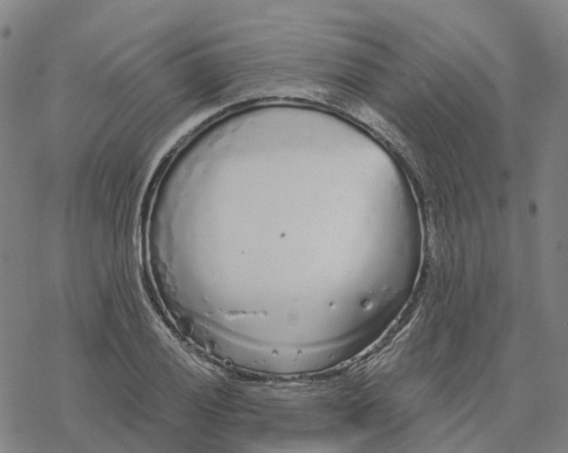 X0000076421028200610271703