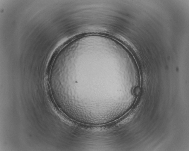 X0000076421029200610271703