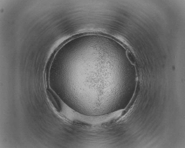 X0000076421030200610271703