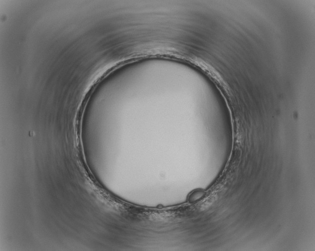 X0000076421031200610271703