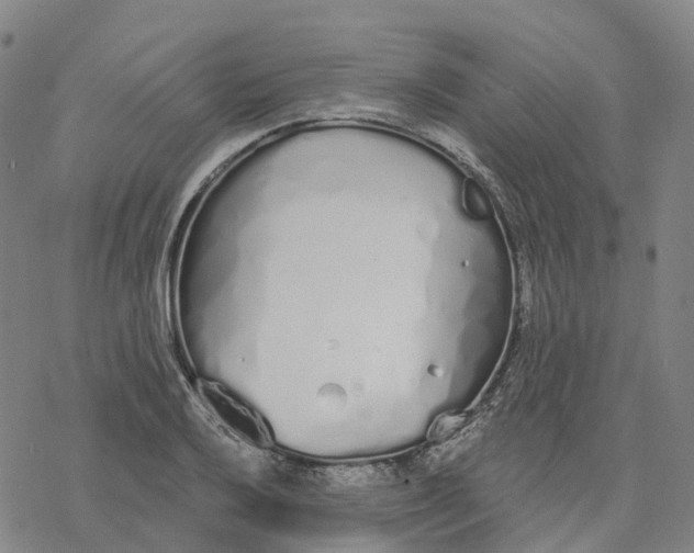 X0000076421032200610271703