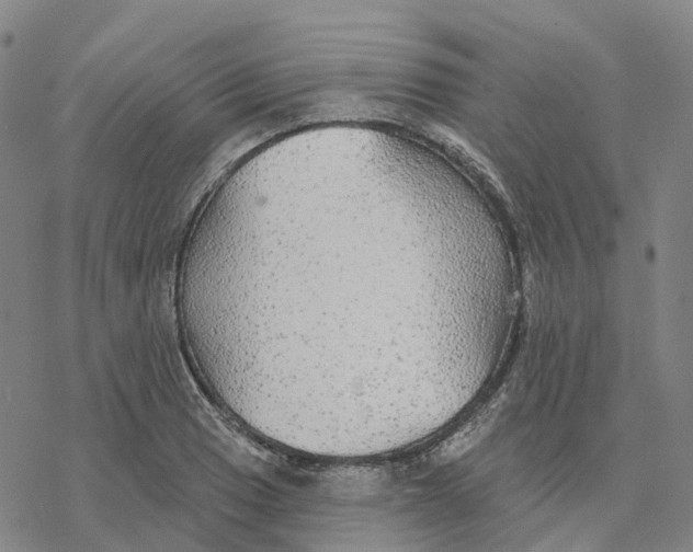 X0000076421033200610271703