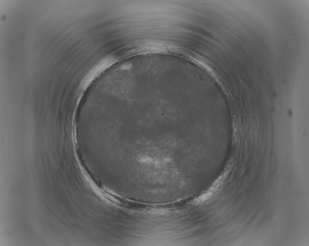 X0000076421034200610271703