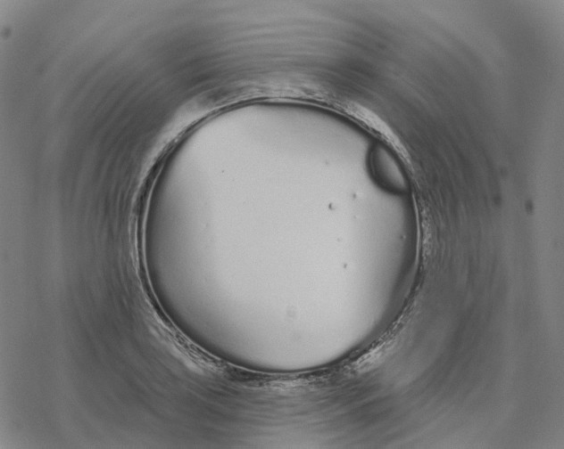 X0000076421035200610271703