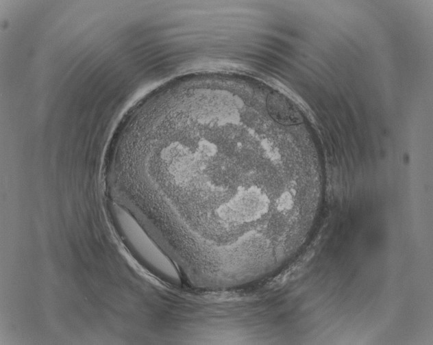 X0000076421037200610271703