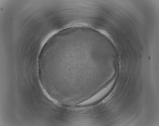 X0000076421038200610271703