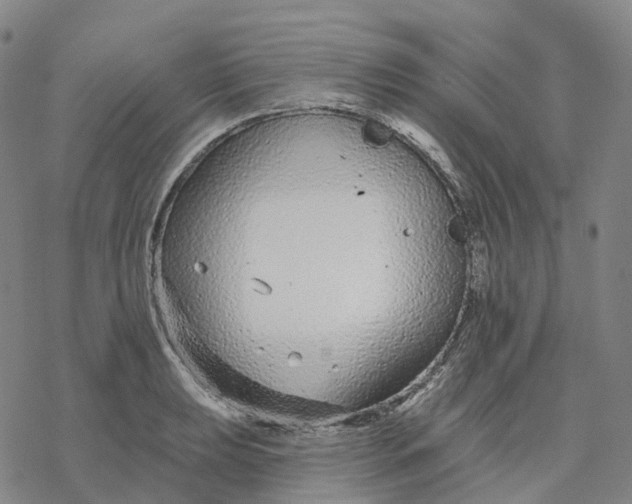 X0000076421039200610271703